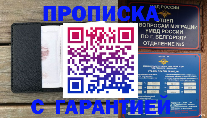 купить прописку в Наволоках